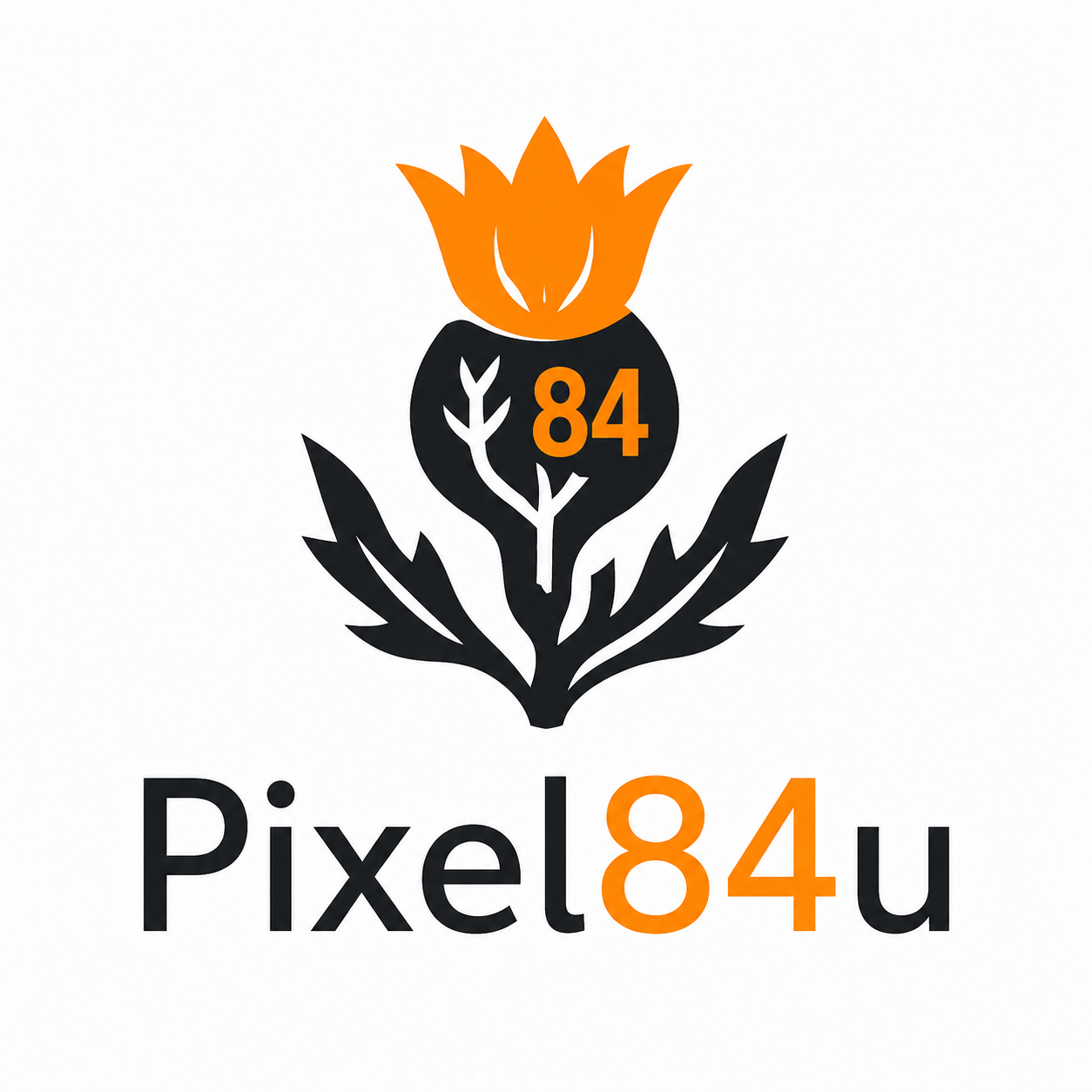 Home page